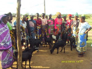 community and goats
