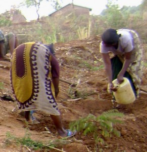 Jemimah's community suffers from lack of water due to prolonged drought (see some of women's group members at left). Despite the lack of water, her community has made some progress in vegetable farming raising sukuma wiki & tomatoes